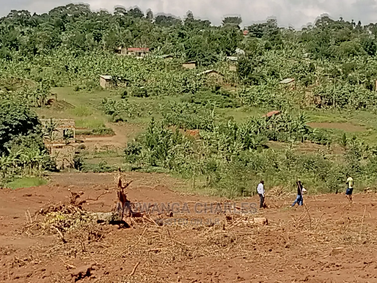 4acres of Land for Sale at Namulonge