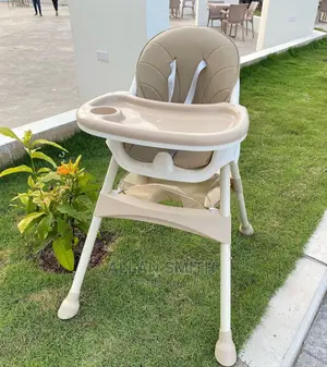 Raised Baby Feeding Chairs