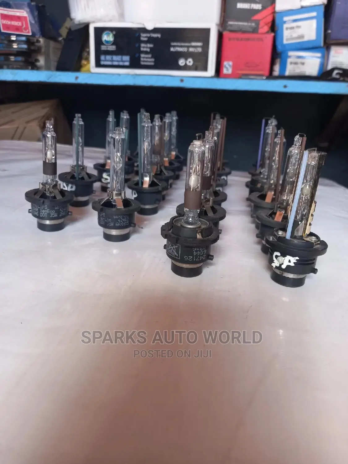 Motor Bulbs