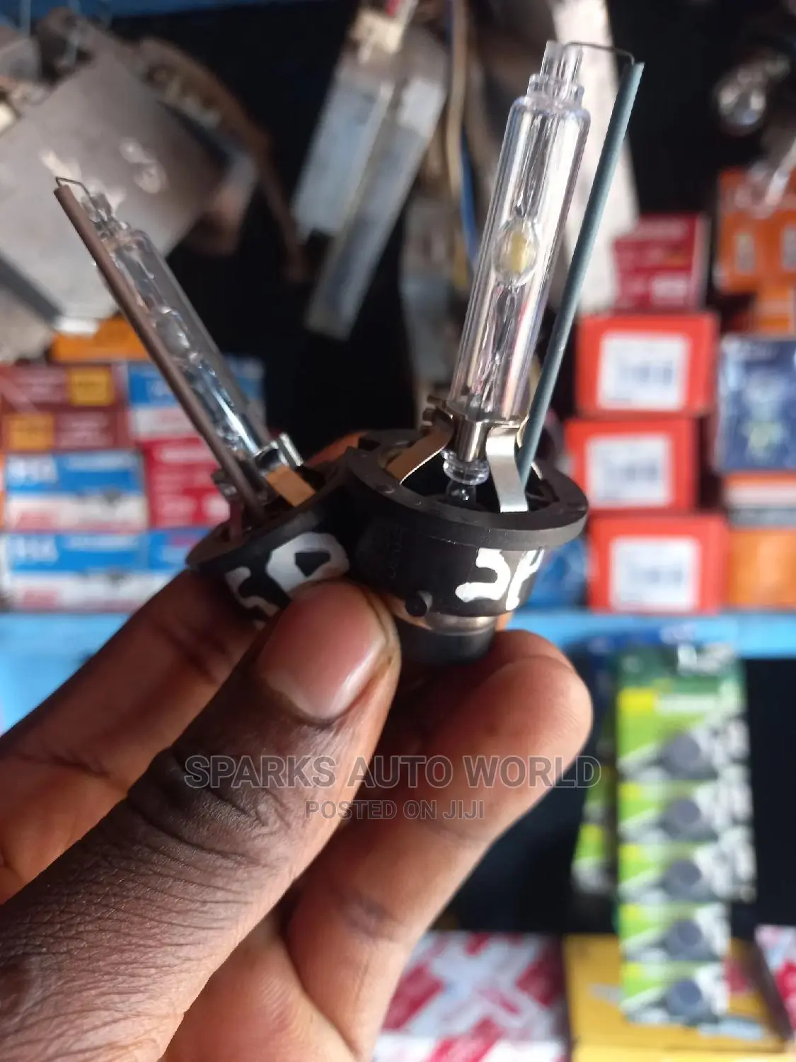 Motor Bulbs