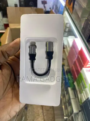 iPhone to Aux Pin