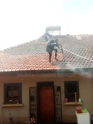Affordable Roof Tiles Cleaning