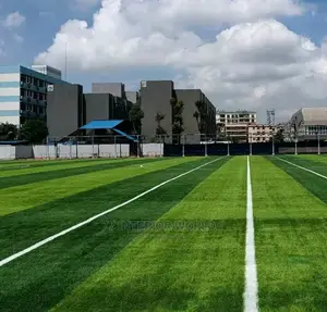 Artificial Grass Carpets For Play Grounds
