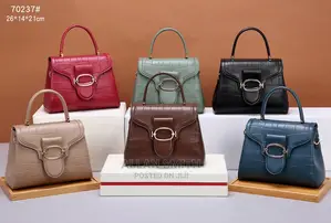 Ladies Hand Bags