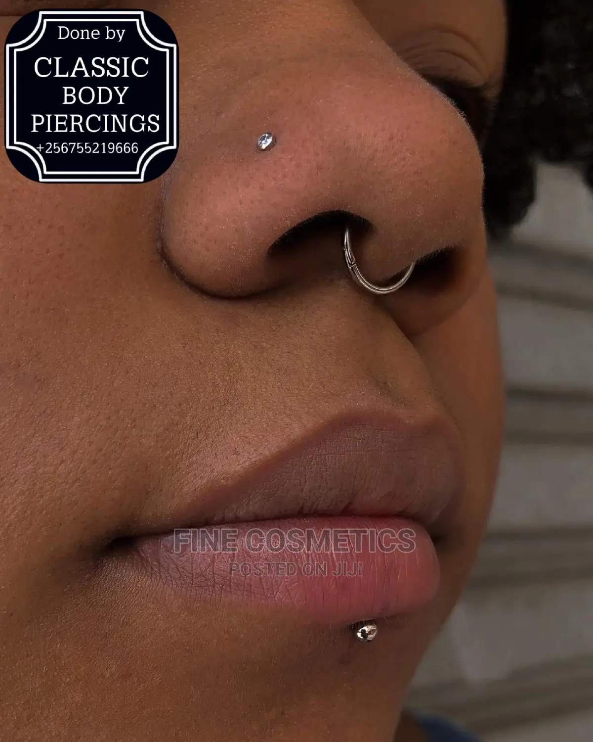1pair Titanium Segment Earring,Septum Ring, Nosering Clicker