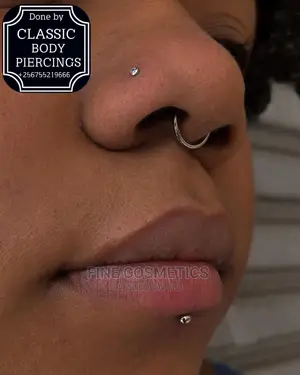 1pair Titanium Segment Earring,Septum Ring, Nosering Clicker