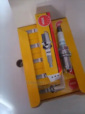 Ngk Spark Plus1