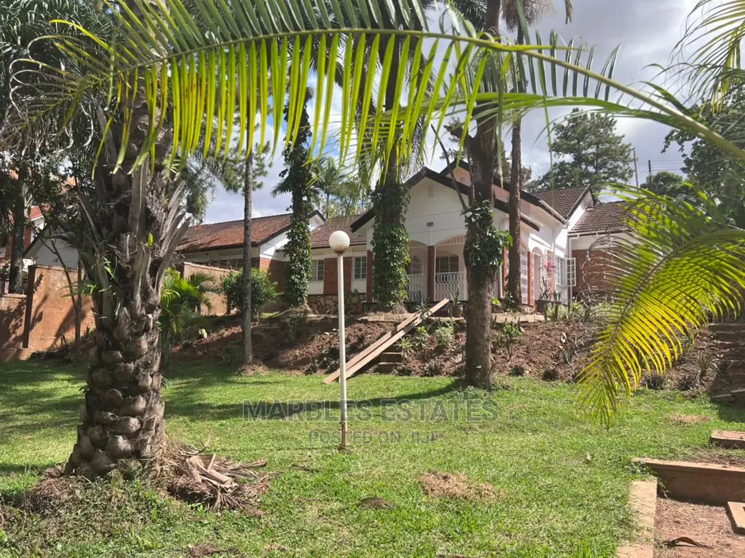 4bdrm Bungalow in Naguru, Central Division for Rent