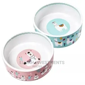Pet Food Bowl