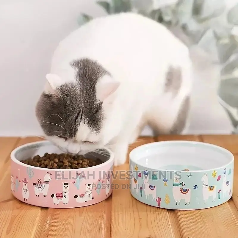 Pet Food Bowl