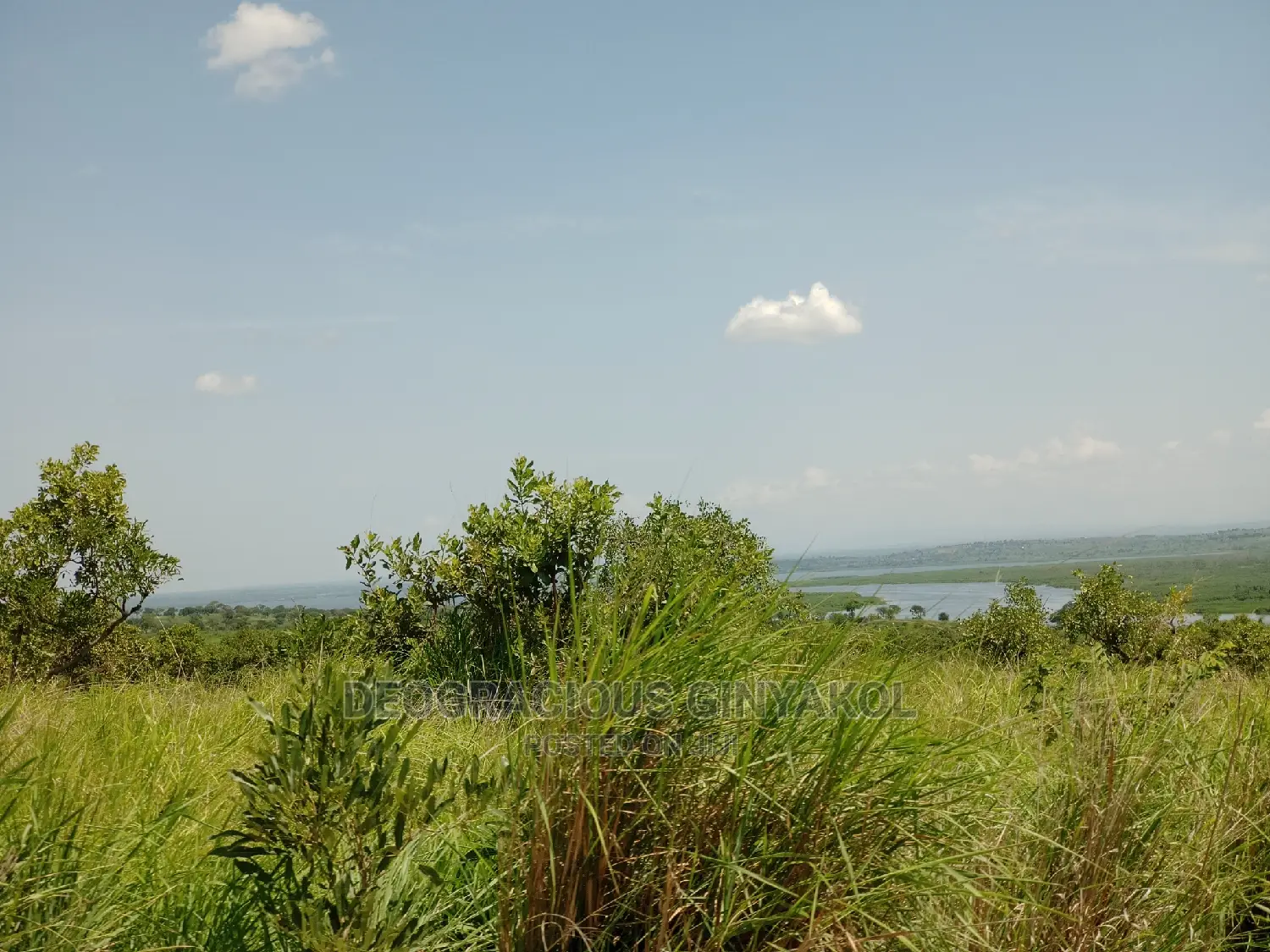 Northern Uganda Virgin Fertile Land Touching Rivernile(Amuru