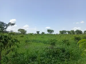 Northern Uganda Virgin Fertile Land Touching Rivernile(Amuru