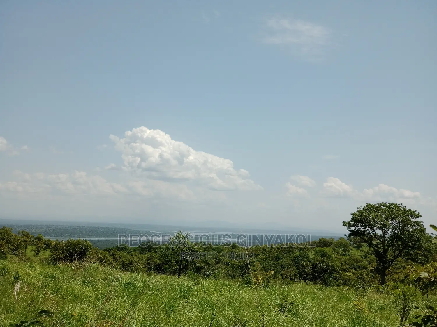 Northern Uganda Virgin Fertile Land Touching Rivernile(Amuru