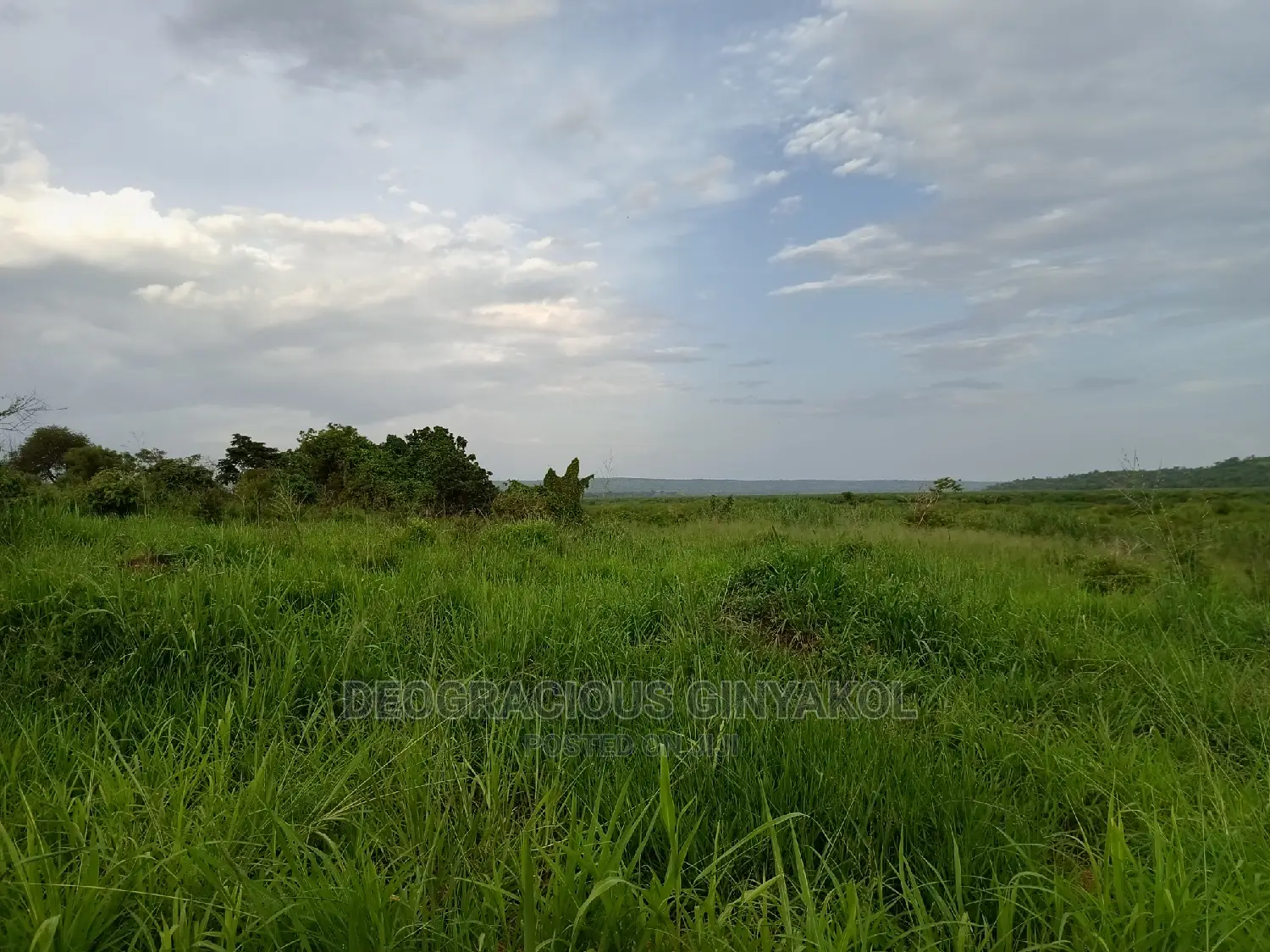Northern Uganda Virgin Fertile Land Touching Rivernile(Amuru