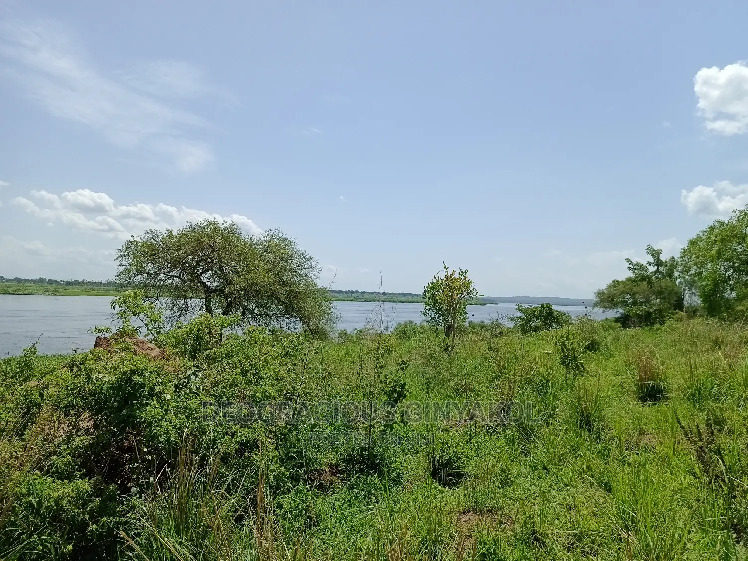 Northern Uganda Virgin Fertile Land Touching Rivernile(Amuru