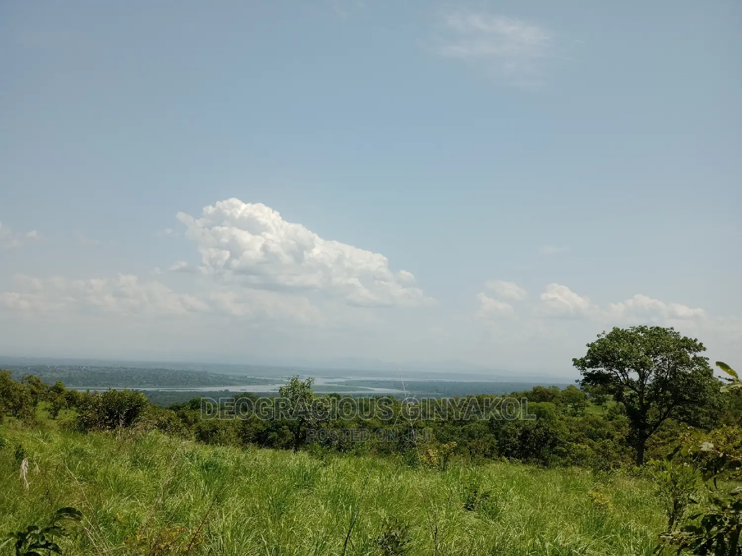 Northern Uganda Virgin Fertile Land Touching Rivernile(Amuru