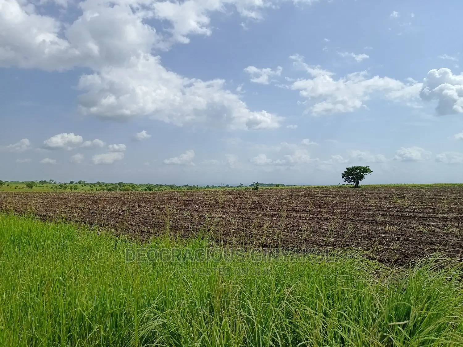 Northern Uganda Virgin Fertile Land Touching Rivernile(Amuru
