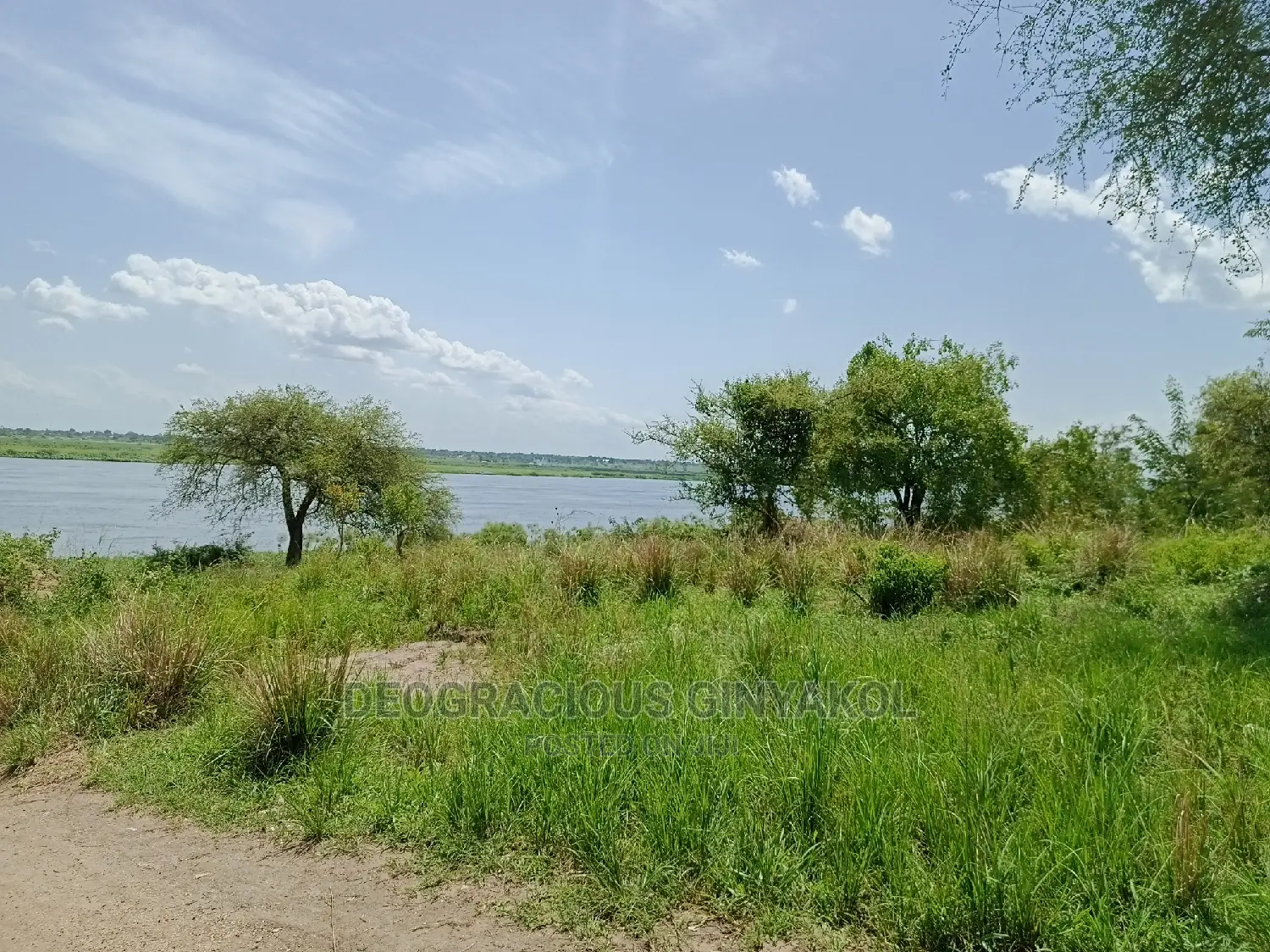 Northern Uganda Virgin Fertile Land Touching Rivernile(Amuru