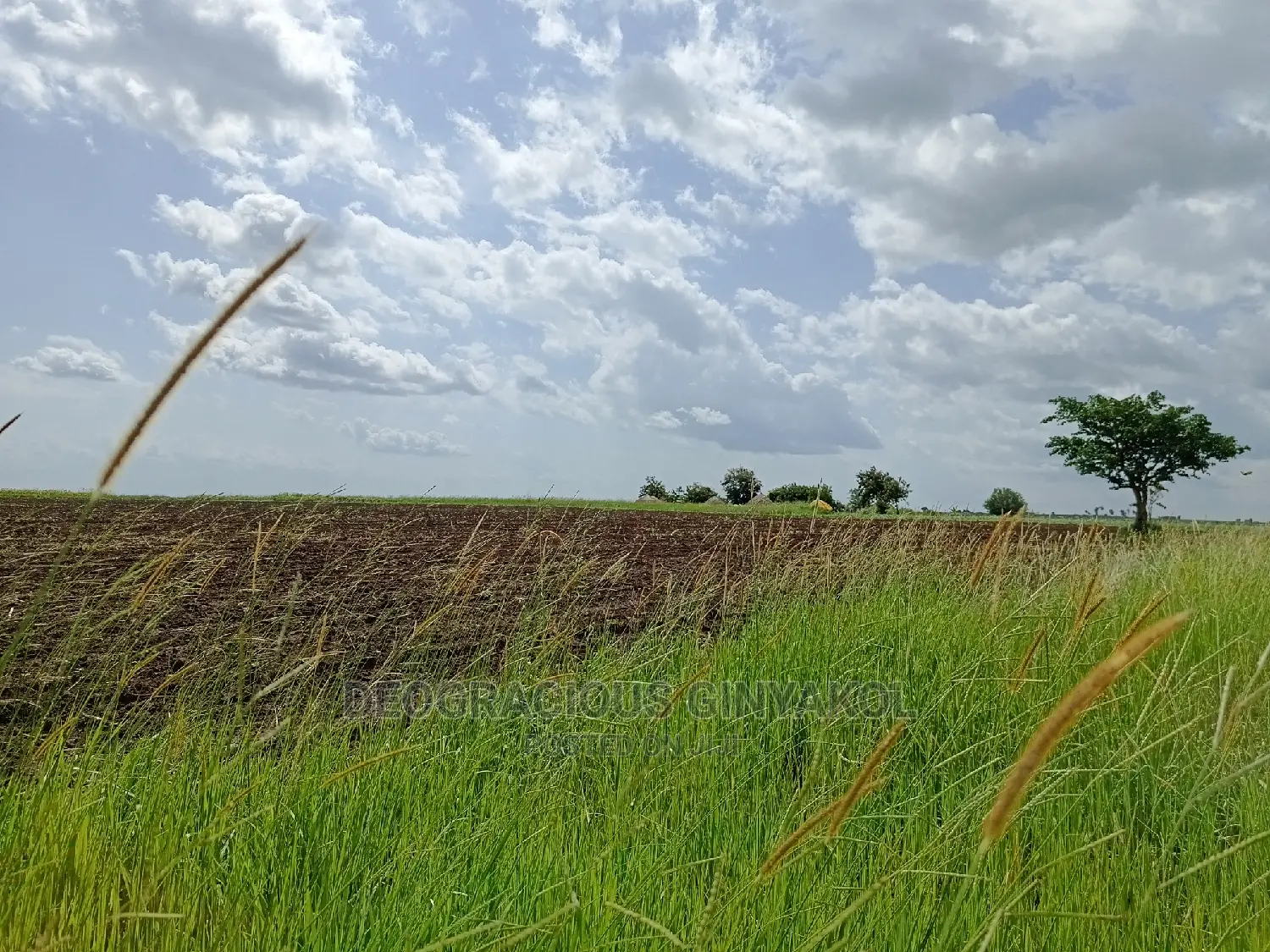 Northern Uganda Virgin Fertile Land Touching Rivernile(Amuru