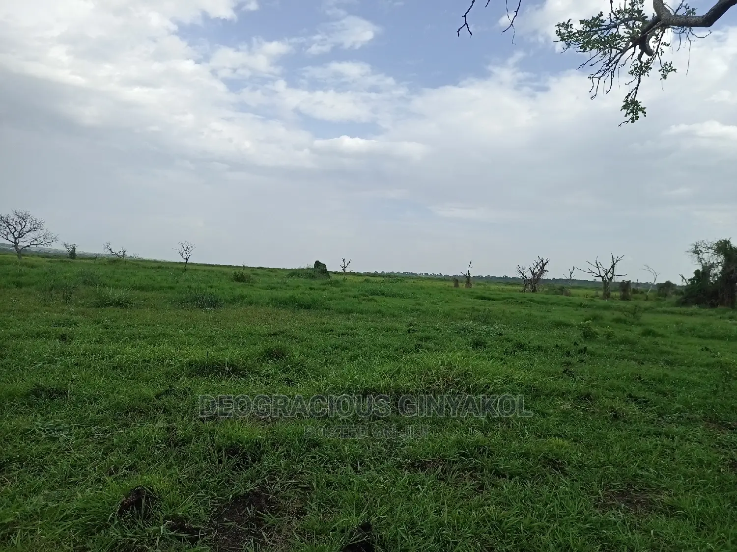 Northern Uganda Virgin Fertile Land Touching Rivernile(Amuru