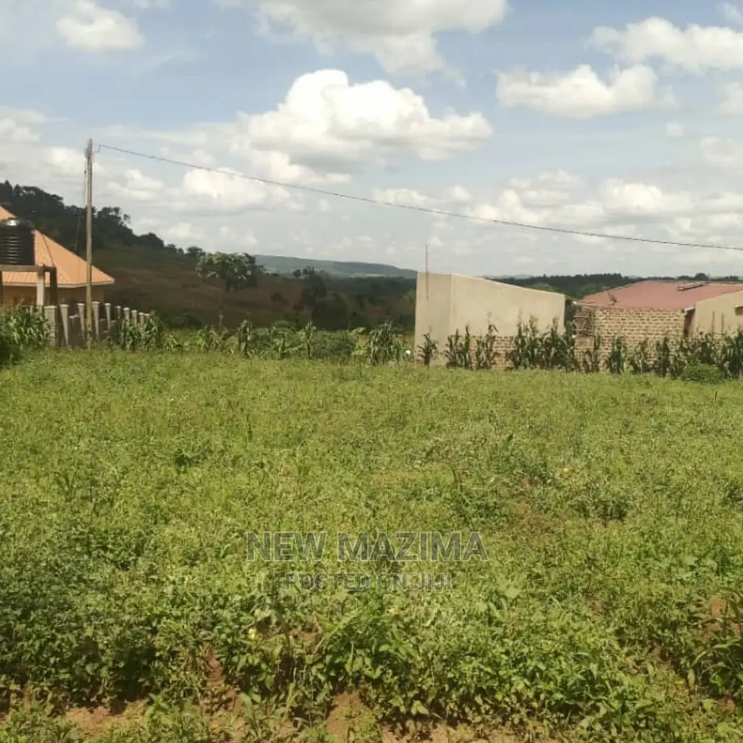 New Estate With Sweetplots at Give Away Price Kiwebwa Manze