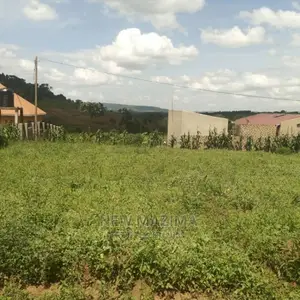 New Estate With Sweetplots at Give Away Price Kiwebwa Manze