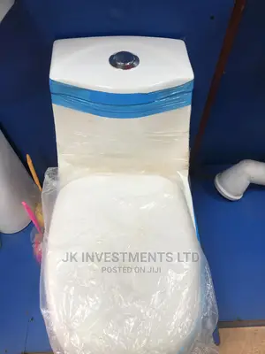 Flashing Toilet
