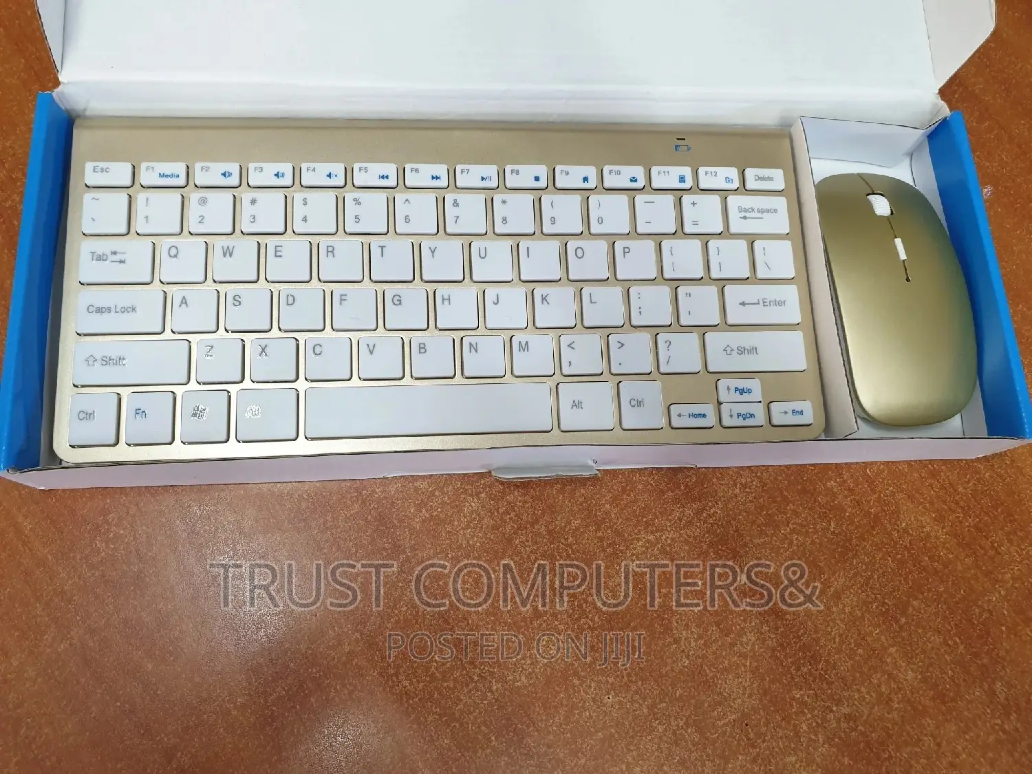 Mini Wireless Keyboard and Mouse (Combo)