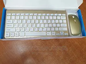 Mini Wireless Keyboard and Mouse (Combo)