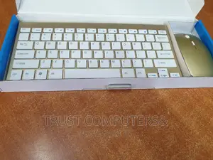 Mini Wireless Keyboard and Mouse (Combo)