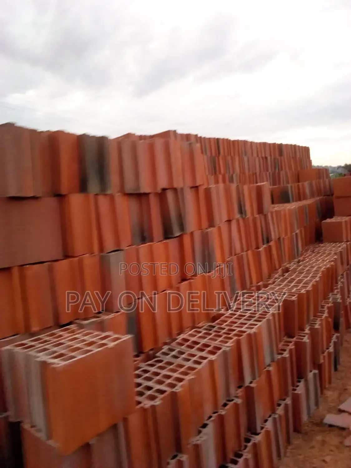 Build With Us( Max Pans)