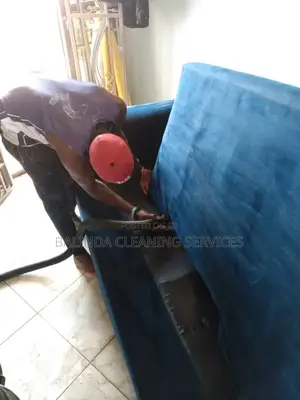 Make Your Home Sofa Clean in Time With NB Service