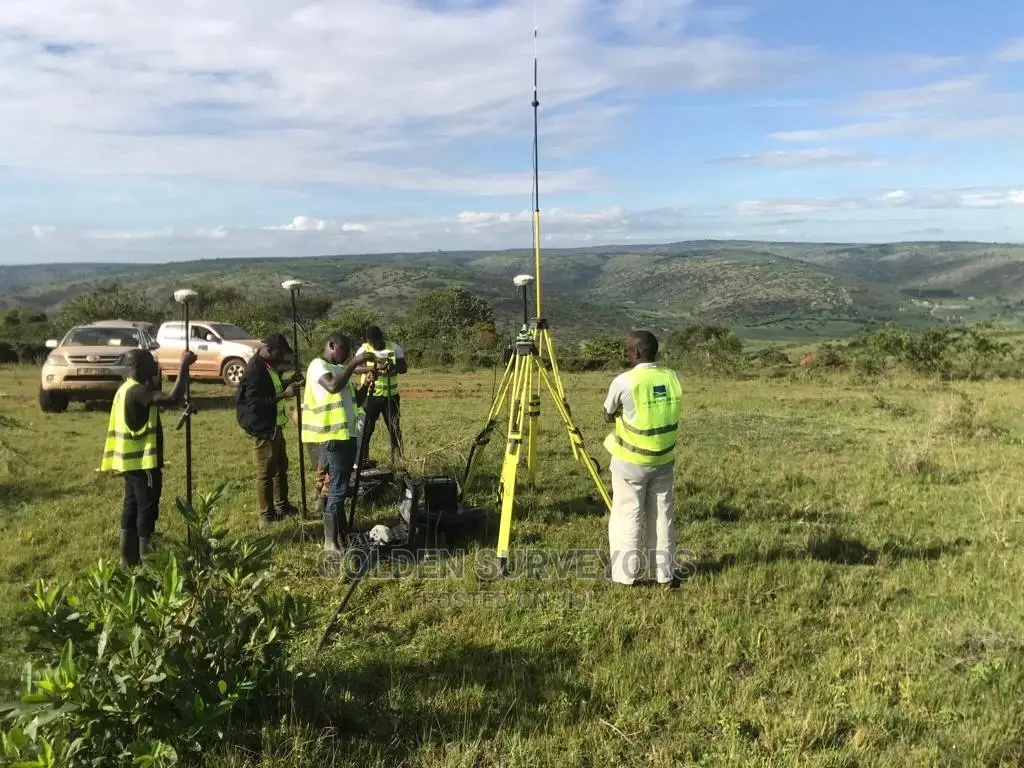 Land Surveyor