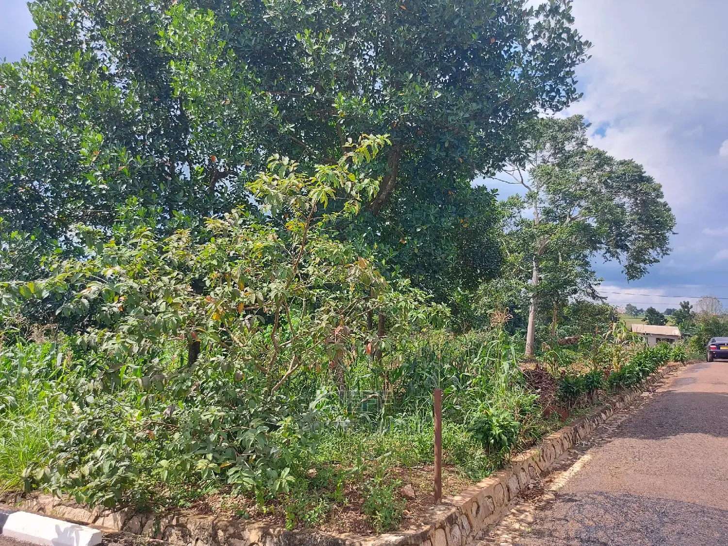 Commercial Plot on Sale 20 Decimals Located in Mukono