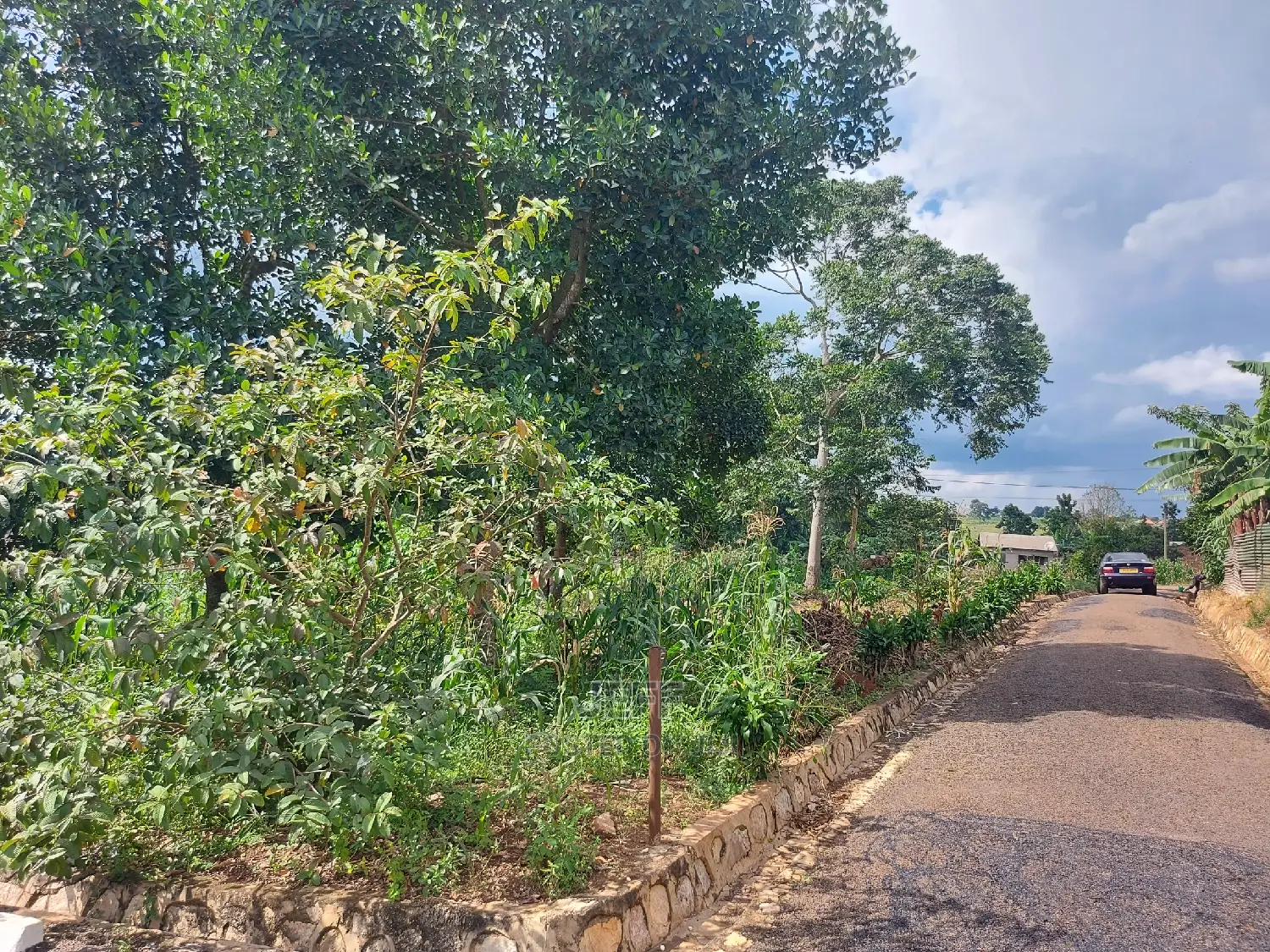 Commercial Plot on Sale 20 Decimals Located in Mukono