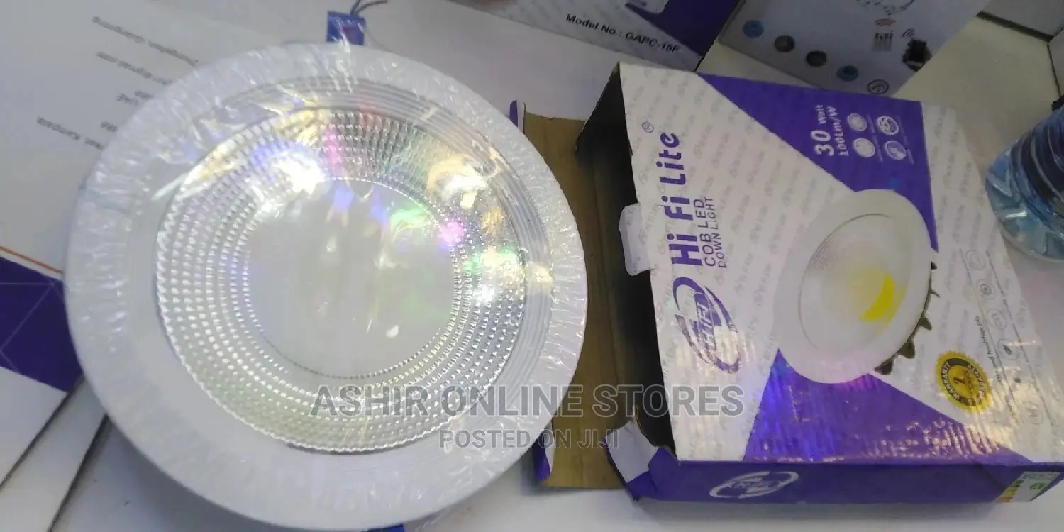Cob LED Down Light for 30watts