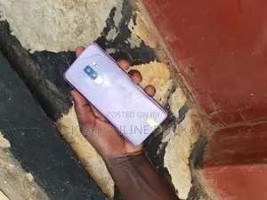Samsung Galaxy S9 Plus 64 GB Pink