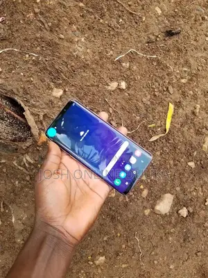 Samsung Galaxy S9 Plus 64 GB Gray