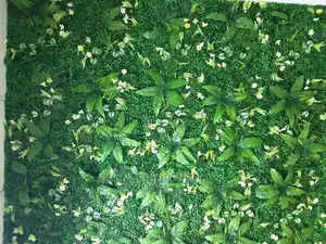 Artificial Plants