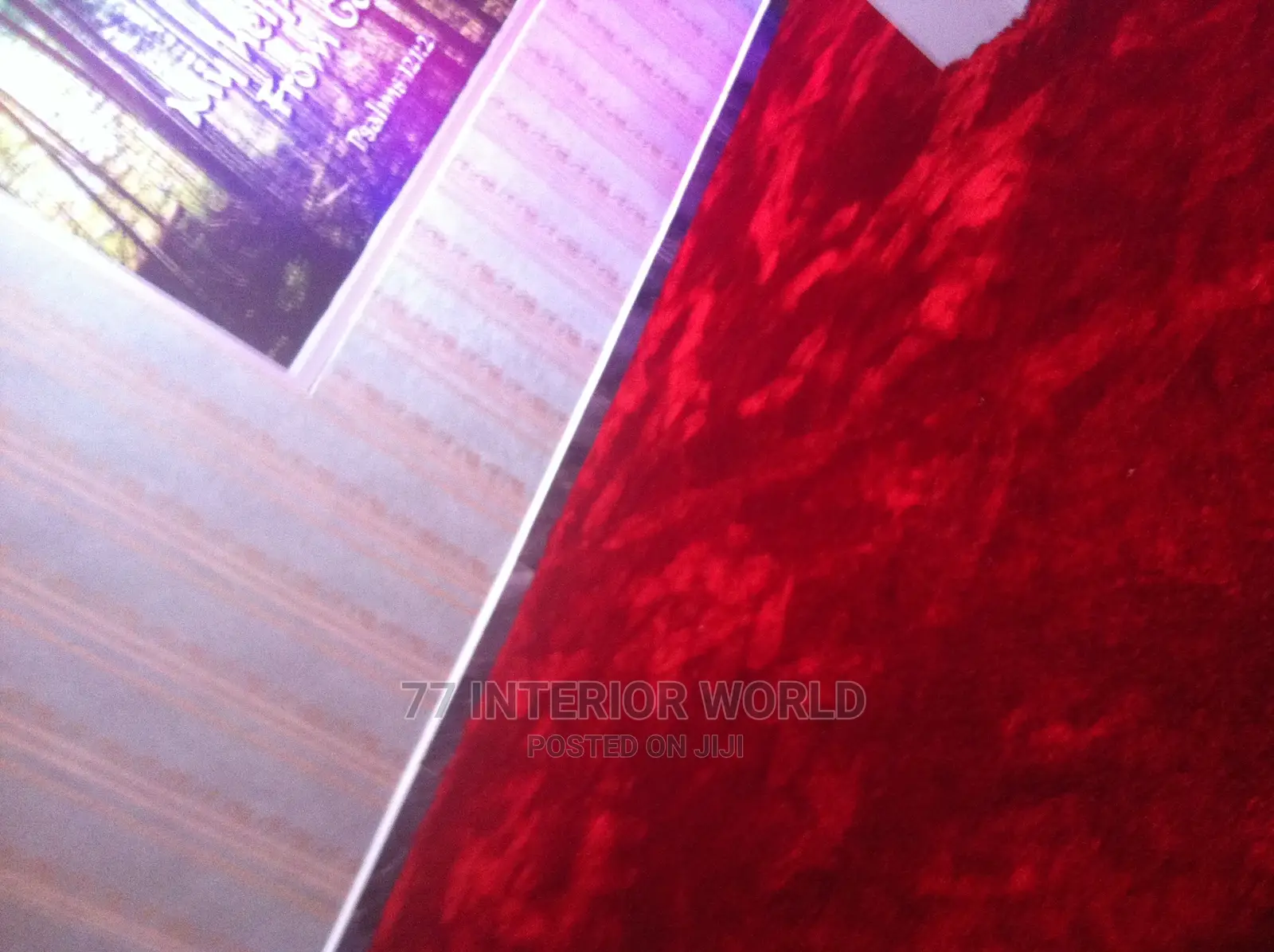 Shaggy Carpets