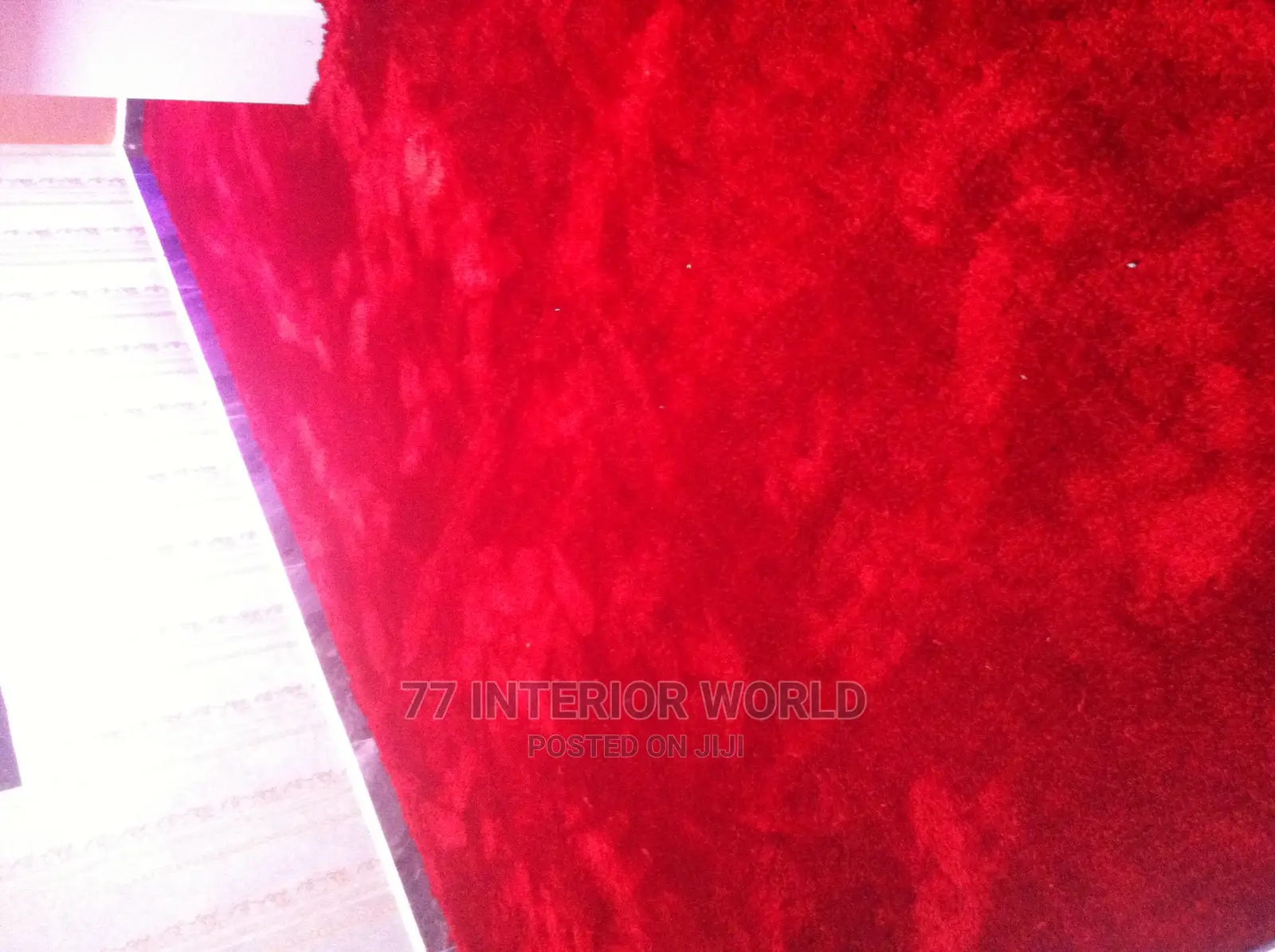 Shaggy Carpets