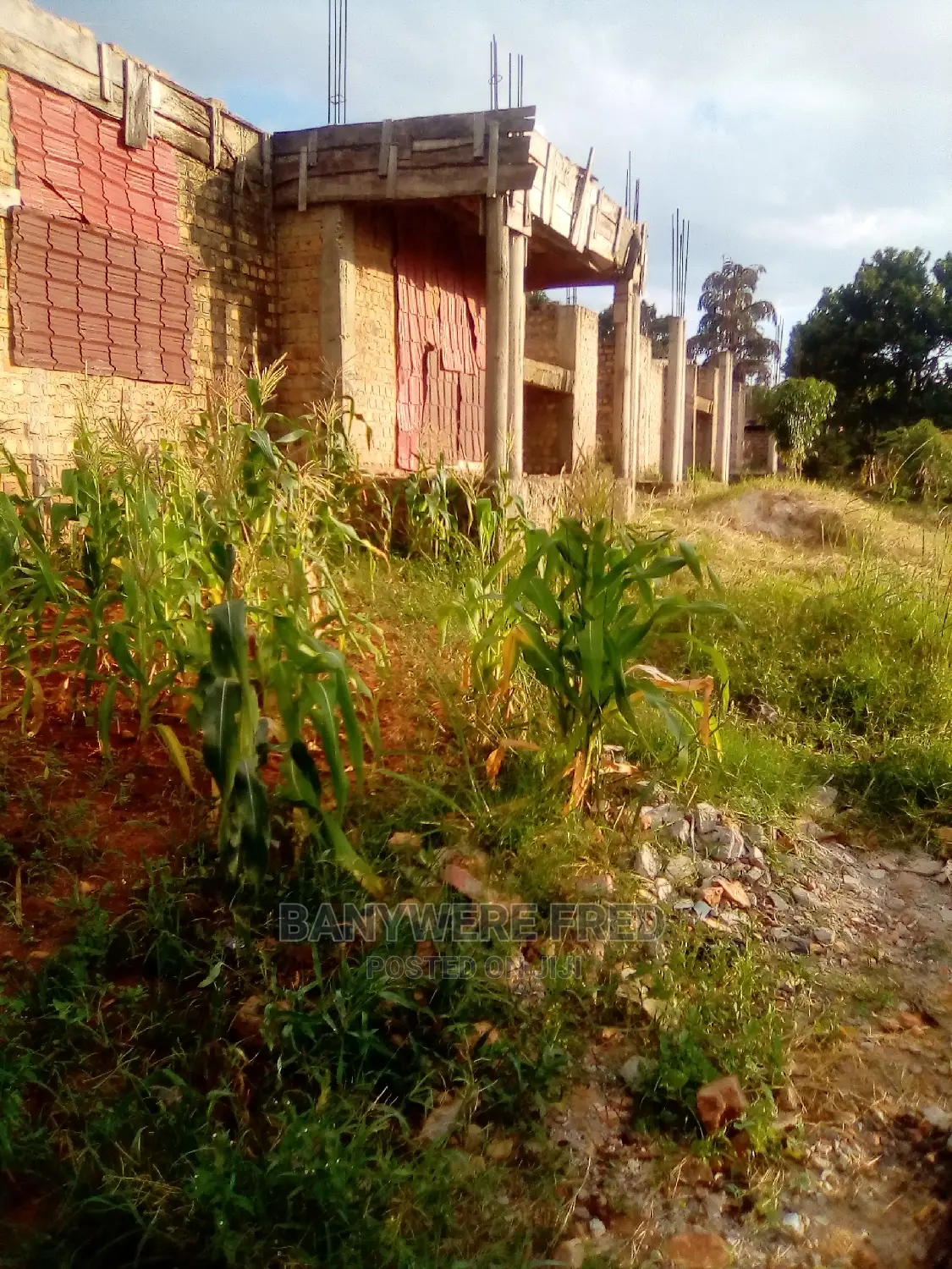 30 Decimals for Sale With a House in Mbalwa