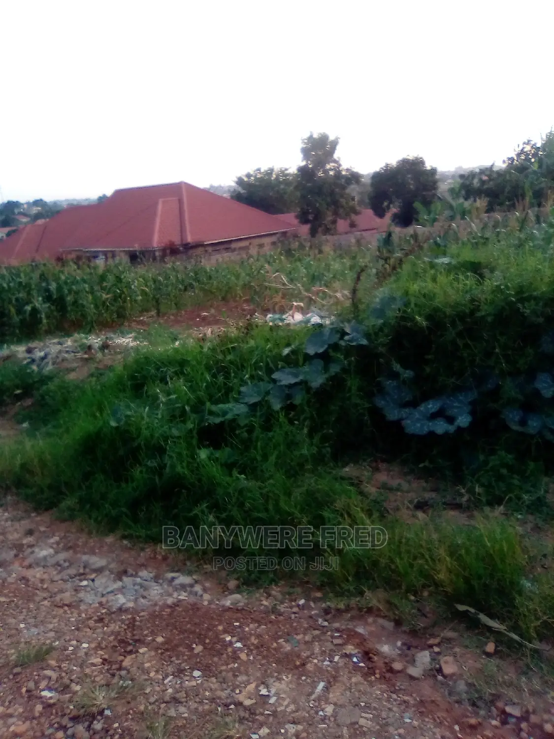 100/100 Plot for Sale in Namugongo Nsawo