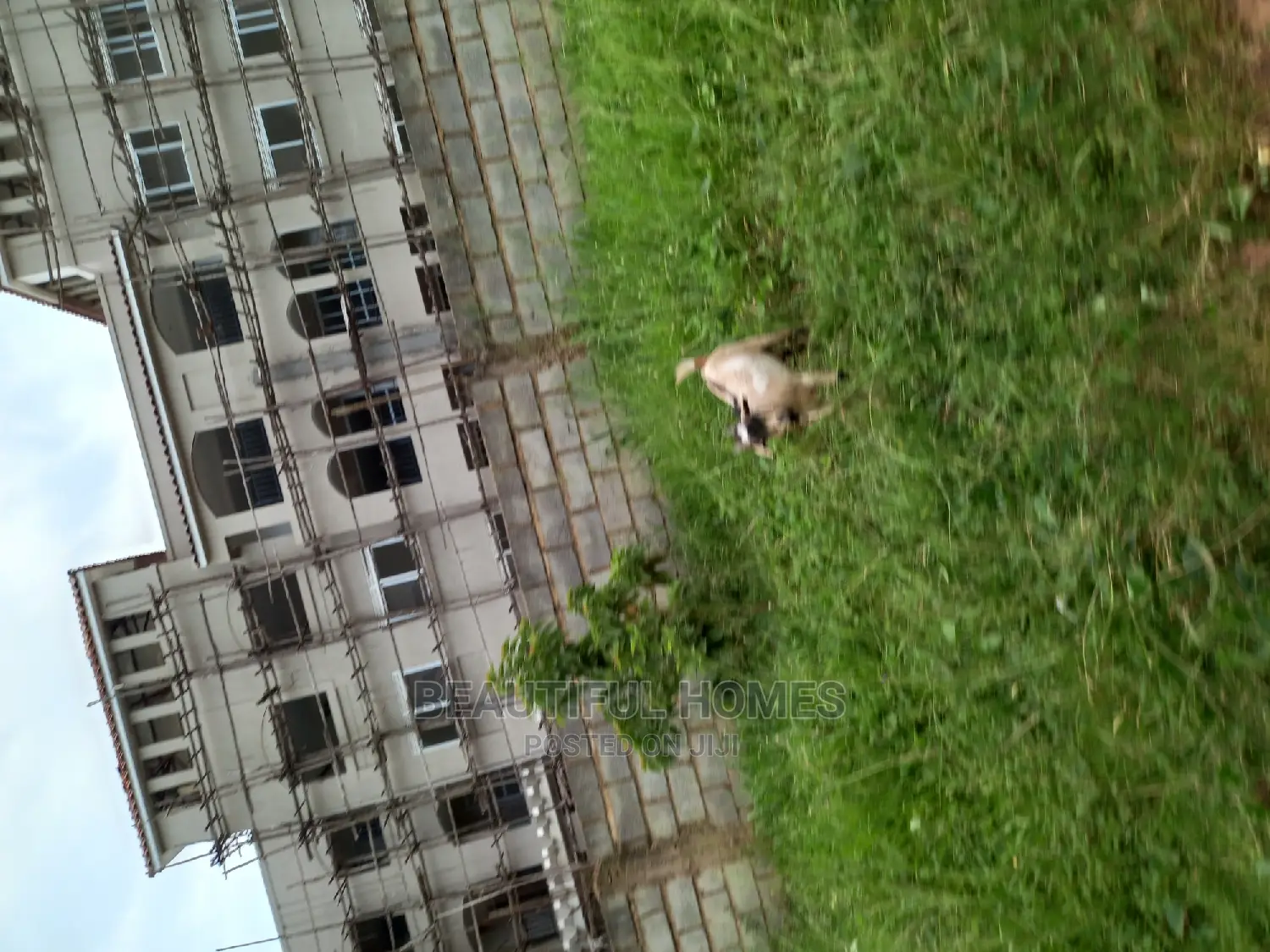 Furnished 2bdrm Condo in Naalya, Central Division for Sale