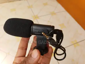 Short Gun Microphone