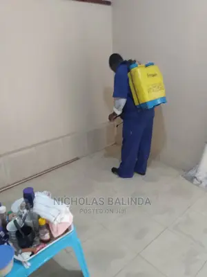 Home Fumigating in Progress