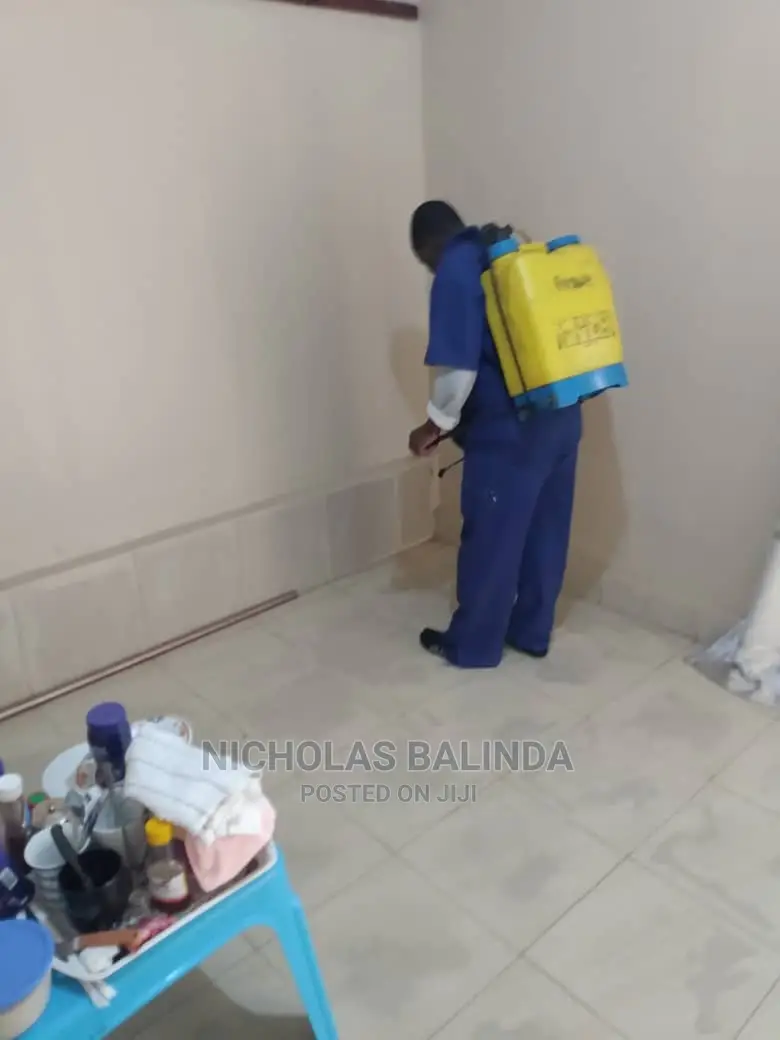 Home Fumigating in Progress