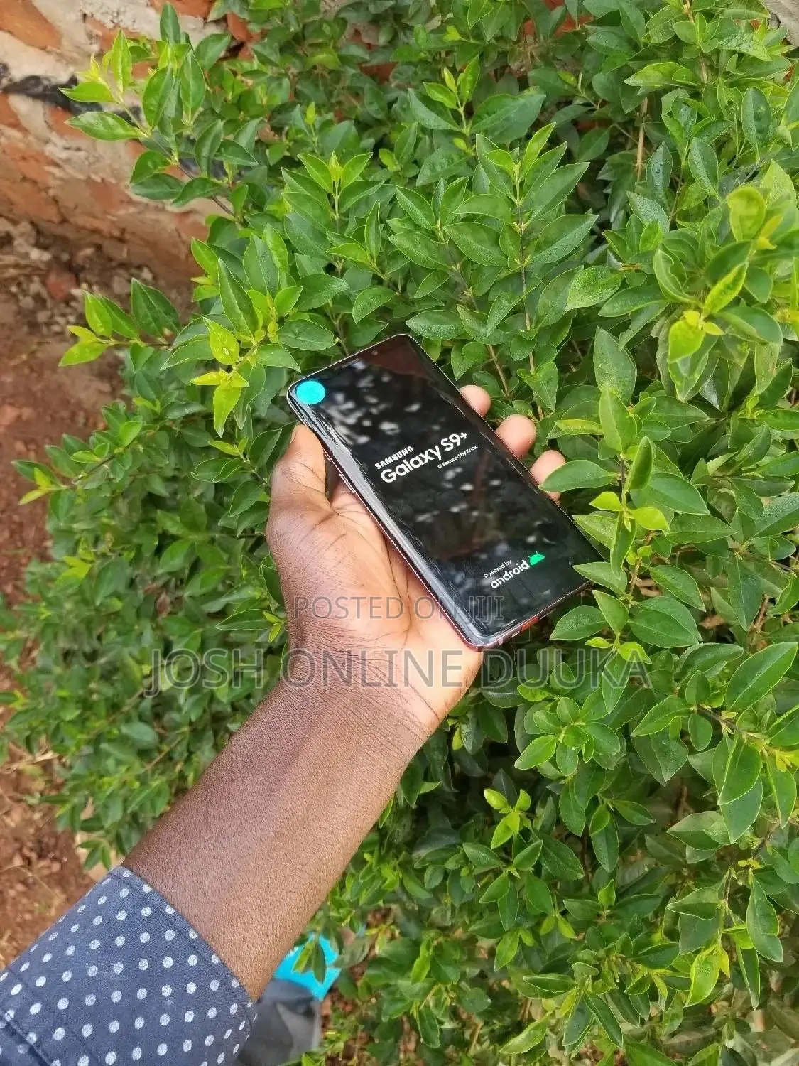 Samsung Galaxy S9 Plus 64 GB Pink