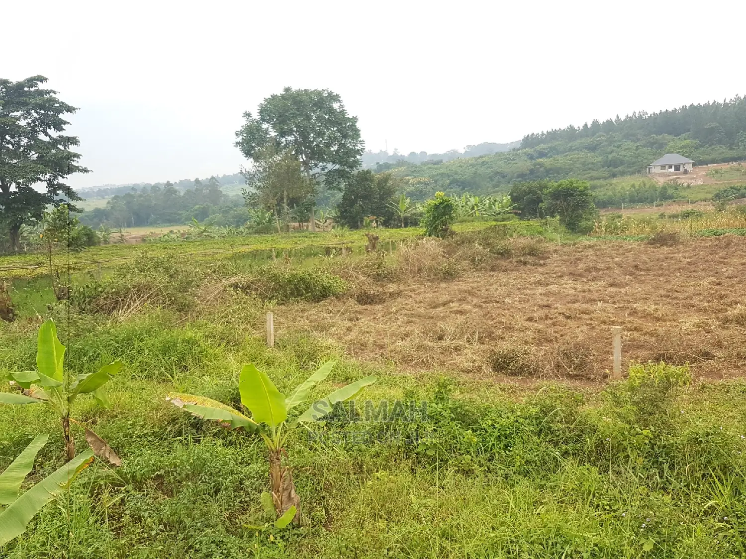Titled Plots for Sale in Gayaza