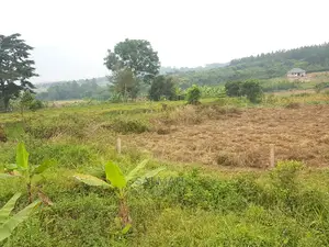 Titled Plots for Sale in Gayaza